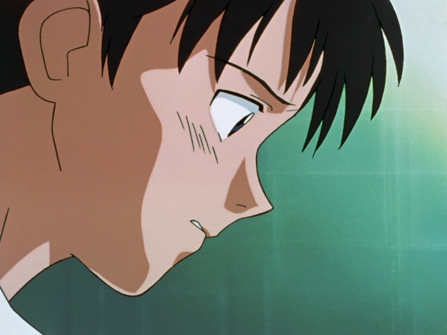 Neon Genesis Evangelion (Animelliure)